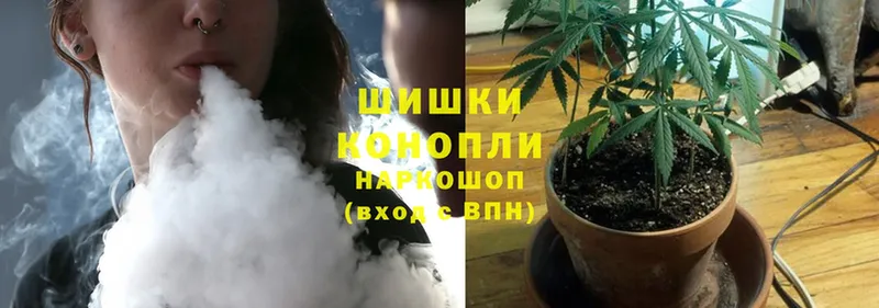 Канабис OG Kush  Бобров 